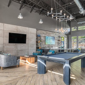 shuffle board table in lounge with pool table